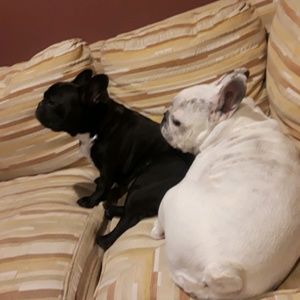 Meet your Posher, Mary